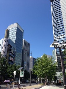IMG_4915